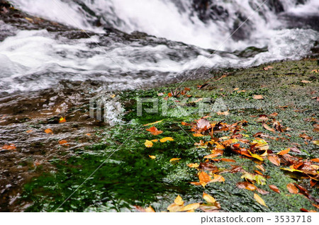 Kikuchi Valley Autumn Landscape 3533718