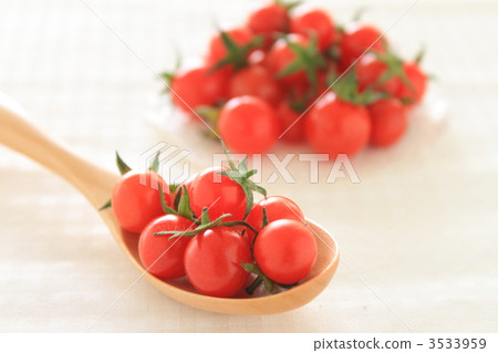 微番茄 微番茄 3533959