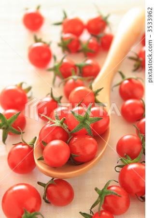 微番茄 3533962