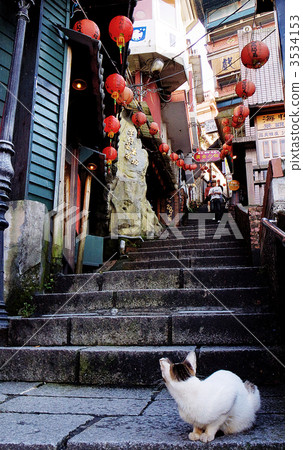 貓在樓梯下 3534153