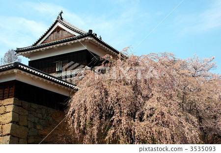 上田城堡Senbon Sakura節日死櫻花 上田城堡Senbon Sakura節日死櫻花 3535093