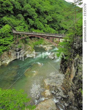 A fresh green rainbow bridge (Nikko National Park · Ryuyo Gorges) 3535370