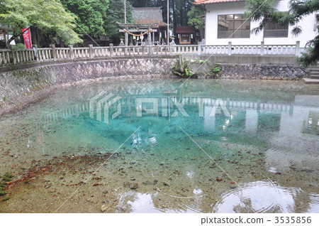 青池 美瑛青池 北海道美瑛青池 3535856
