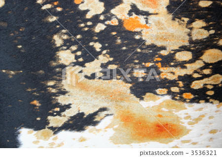 fur skin fur skin 3536321