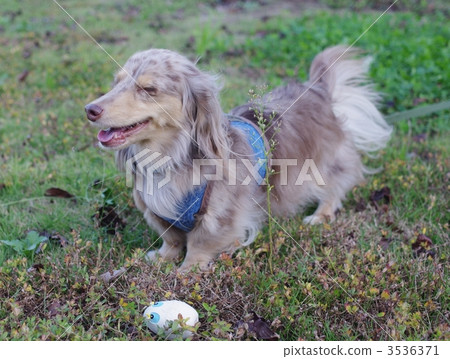 快樂〜！ 3536371