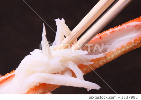 蟹蟹松針蟹 蟹蟹松針蟹 3537993