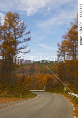 通往Sakuho Takahara的道路 通往Sakuho Takahara的道路 3538324