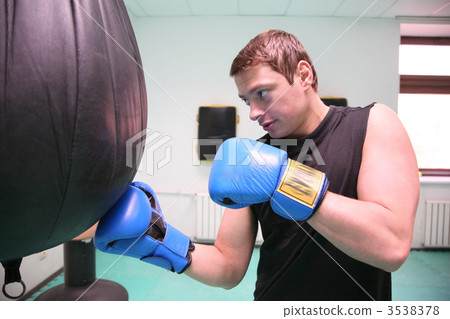 boxer 3538378