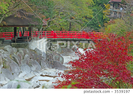 紅葉大石公園（三重縣湯之山溫泉街） 3539197
