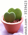Two love love hearts 3539423