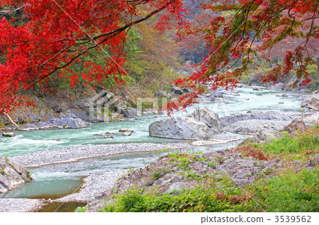 Ontake山谷的秋天 3539562