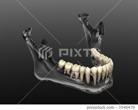 Mandible 3540470