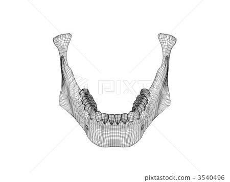 下顎 3540496
