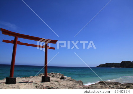 Shirahama Coast (Shimoda-shi, Shizuoka Prefecture) 3540524