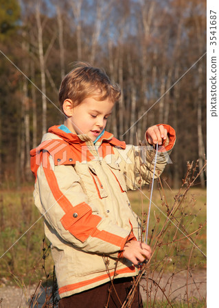Boy in autumn wood with rope in hands Boy in autumn wood with rope in hands 3541687