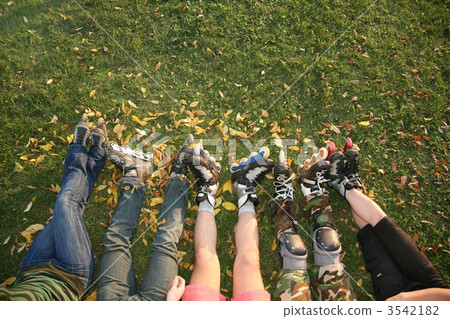 roller legs on the grass roller legs on the grass 3542182