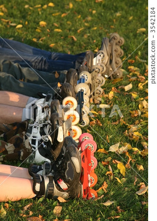 row of roller legs on the grass 3542184