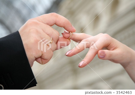 the hand, which puts on ring to another hand the hand, which puts on ring to another hand 3542463