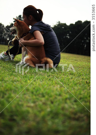 female, lady, woman 3553665