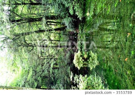 Ikeyama water source 3553789