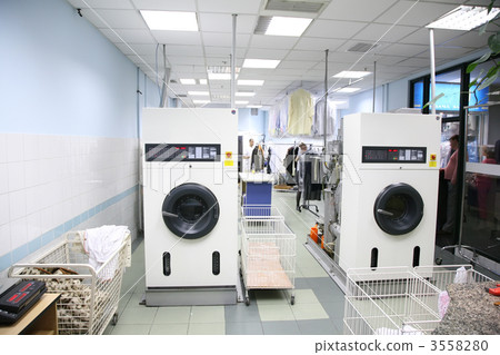 the laundry 3558280