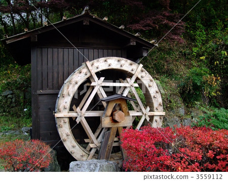 Wakayama Mizuno Waterfall 3559112