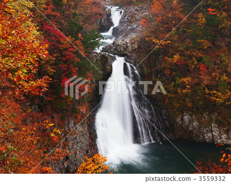 Autumnal Leg Falls 3559332