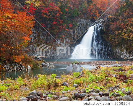 秋季腿落 3559334