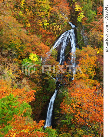 Autumnal leaves Nanatsu Falls Autumnal leaves Nanatsu Falls 3559343