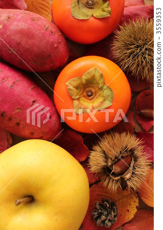 Autumn taste Autumn taste 3559353