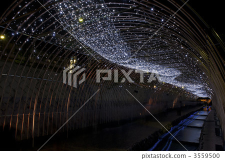 京都Tanabata光的銀河 3559500