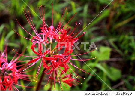 The arrival of autumn 3559560