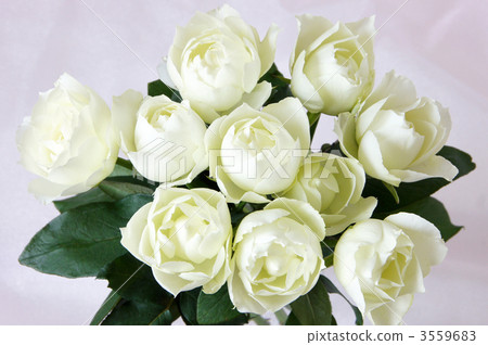 勃艮第玫瑰花束 3559683