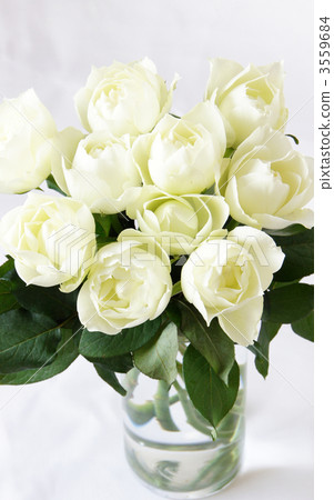 玫瑰花束叫在一個玻璃花瓶的伯根地 玫瑰花束叫在一個玻璃花瓶的伯根地 3559684
