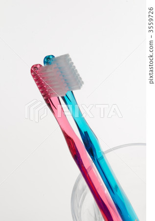 男人和女人的新娘對 3559726