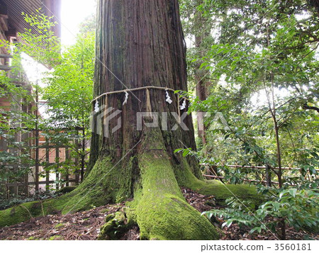 力量蘇薩神社 3560181