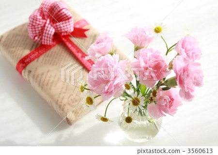 Carnations and gifts 3560613