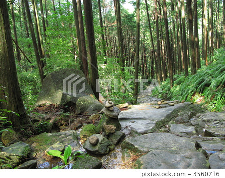 Kumano Kodo Ise Road 3560716