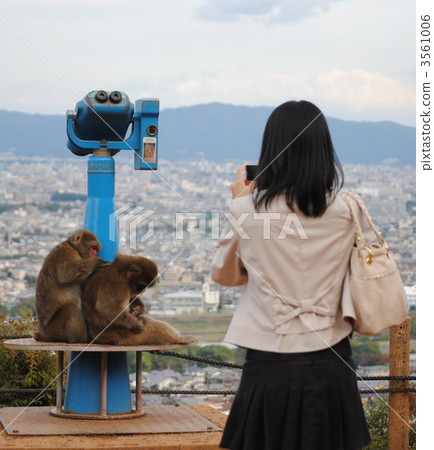 一隻猴子 3561006