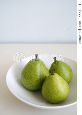 梨/梨 梨/梨 3561041