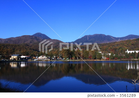 Autumn leaves on the shores of Lake Tateshina Autumn leaves on the shores of Lake Tateshina 3561289