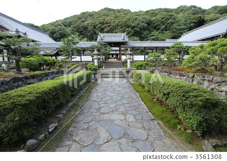 宇治 曹洞學派 神社和廟宇 3561308