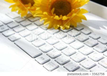 Personal computer and sunflower Personal computer and sunflower 3562756
