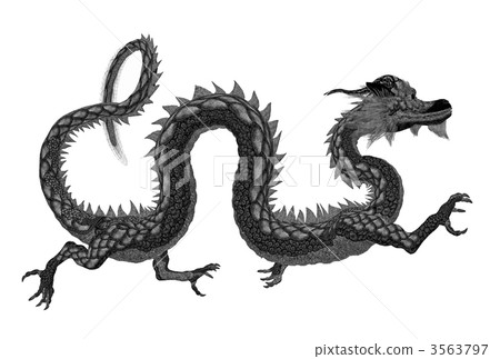 龍 龍 3563797