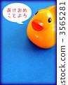 Good evening Duck 3565281
