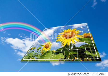 Sunflower and solar panel Sunflower and solar panel 3565986