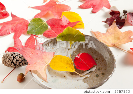 深秋的圖像 3567553