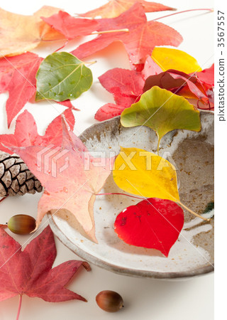 深秋的圖像 3567557