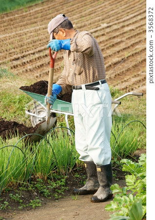 Men working in fields 3568372