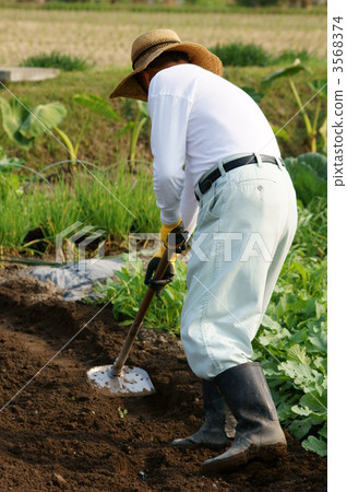 Men working in fields Men working in fields 3568374